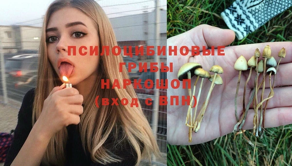mix Армянск